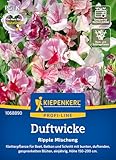 Kiepenkerl Profi-Line Duftwickensamen Ripple Mischung 1068890 - Kletterpflanze für Beet, Balkon und...