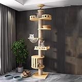 Mekidulu Kratzbaum deckenspanner,Kratzbau hoch,Kratzbaum, Raumkapsel,Katzenhängematte, Vollständig...