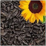 Lyra Pet® | 25 kg Sonnenblumenkerne Schwarz | Wildvogelfutter Ganzjährig | Ideal für Kleine...