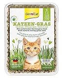 GimCat Katzengras 150g - Katzengras mit schneller Aufzucht in nur 5 bis 8 Tagen - 1 Schale (1 x 150...