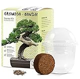 GROW2GO Bonsai Starter Kit Anzuchtset - Pflanzset aus Mini-Gewächshaus, Samen & Erde - nachhaltige...