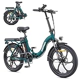 HillMiles MilePort 1 Elektrofahrrad Für Erwachsene, 250W Klappbares Elektrofahrrad Mit 36V 13AH...
