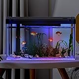 Crevyteg 12L Aquarium mit Filter und Licht, Rechteckiges Aquarium mit Filter und Sauerstoffzufuhr,...