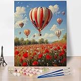 Blumenmeer Malen Nach Zahlen Erwachsene HeißLuftballon Malen Nach Zahlen Kreativ Set Erwachsene...