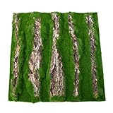 Terrariumboden aus Kork – Hintergrund aus natürlicher Korkrinde, Korkboden aus Baumrinde |...