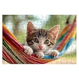 Puzzle 2000 Teile Katze, Puzzle Tier, Klassische Puzzles für Erwachsene, Puzzel für Die Ganze...