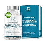 Glucosamin Chondroitin hochdosiert 1500mg + MSM Kapseln hochdosiert - Glucosamin Chondroitin MSM...