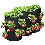 Erdbeere Pflanzsack, Pflanzen Taschen mit 2 Griffen und 8 seitliche Wachstumstaschen,Pflanztasche,...