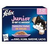 FELIX So gut wie es aussieht Junior Kittenfutter nass in Gelee, Sorten-Mix, 6er Pack (6 x 12 Beutel...