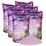 Lyra Pet® | 6 x 5 L = 30 L Lyra Power Clumping Silica Silikat Katzenstreu | Stark Klumpend |...