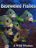 Bejeweled Fishes [OV]