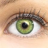 GLAMLENS Florence Green Grün + Behälter | Sehr stark deckende natürliche grüne Kontaktlinsen...