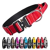 TSPRO Premium Hundehalsband mit Griff Dickes Verstellbares Hundehalsband Schwere Ausführung...