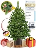 ArtiTree - Künstlicher Weihnachtsbaum im Topf - Christmas Tree für Innen und Außen, Kunstlich...