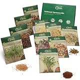 Green SEEDS Bio Keimsprossen Saatgut 10er Set in nachhaltiger Graspapier-Verpackung