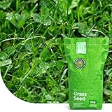 Clover Lawn: Grassamen mit Mikroklee | 1 kg - 50m2 | Ganzjährig grüner Rasen | Pflegeleicht und...