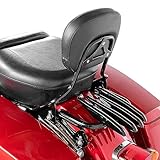 Mofun Sissy Bar Beifahrerlehne, schnell abnehmbar mit Polster und Stealth-Gepäckträger, dreifach...