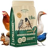 Hatortempt 10L Premium Mehlwürmer getrocknet - Non-GMO, Natürliches Vogelfutter Wildvögel...