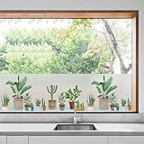 dktie Fensterfolie Blickdicht Sichtschutzfolie Fenster Milchglasfolie Topfpflanzenmuster Statisch...