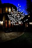 Bonetti Premium LED-Baum/warm-weiß beleuchtet/Verschiedene Größen/Lichterbaum für den Innen- und...