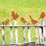 Rost Vogel Gartendeko für Draußen Rust Vögel Garten Deko Frühling,Gartenstecker Metall...