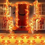 FFZZKJ Herbst Lichterkette 3M 20 LED Halloween Lichterkette Batterie mit Timer Ahornblätter...