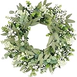 COLORSPEC Eukalyptus-Kranz für die Haustür, 46 cm/18 Zoll grüner Frühlings-Sommer-Kranz,...