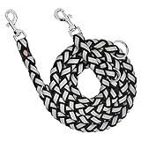 2m Verstellbare Nylon-Hundeleine mit Reflexstreifen zum Laufen, Hundeleine mit 2 Karabiner für...