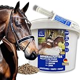Mineralfutter + Vitaminpaste I Vitamine Und Mineralien für Pferde I für Fell Huf Haut Haar I Mit...
