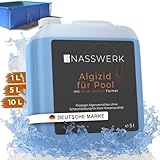 NASSWERK® Algenvernichter Pool flüssig 5l | Algizid für Pool um grünes Poolwasser klar bekommen...