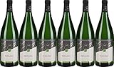 Aspach Riesling 2024 Halbtrocken (6 x 1.0 l)