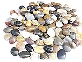 Kiesel Natur Deko Polierte Deko Steine ​​Naturkiesel Kies für Garten Steine ​​2-4 cm 900g...