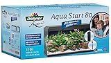 Dehner Aqua Aquarium Starterset 80, ca. 81 x 36 x 45 cm, inkl. Futter und Pflegeprodukten