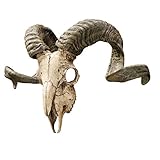 Design Toscano Wandtrophäe Korsischer Widder Schädel und Hörner, Maße: 47 x 18 x 29 cm