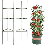 Kakveiai Pflanzenhalter, Pflanzen Kletterhilfe, Tomatenkäfig, Tomaten Rankhilfe Pflanzen,...