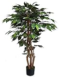 Ficus Excotica 120cm grün DA Kunstbaum Kunstpflanzen künstlicher Baum Dekobaum Birkenfeige