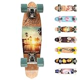 meteor Holz Skateboard Kinder - Mini Cruiser Kickboard - Skateboard mädchen Rollen Board - hohe...