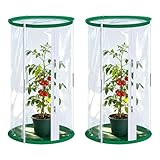 2 Stück Gewächshaus Klein, 52x28CM Zuchtkäfig für Schmetterlinge, Transparenter Netzkäfig,...