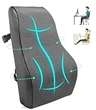FAOKZE Ergonomisches RückenKissen aus Memory Foam, Memory Foam Rückenkissen für Bürostuhl &...
