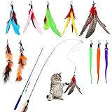Hianjoo Katzenspielzeug Katze Toys 12 Stück, Interaktives Katzenspielzeug Feder mit 2 STK...