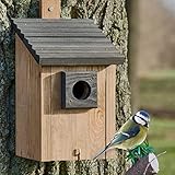 Zooprinz Nistkasten für Wildvögel – Massiv- Holz Vogelhäuschen mit sicherem Schutz gegen...