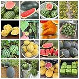 wassermelone samen freiland - melonensamen - obst frisch, winterharte pflanzen für balkon melonen...