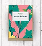 Katzenkräuter Blumensamen Set - Drei Kräutersorten, die Katzen lieben