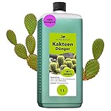 Konfitee Kakteen Dünger Flora Boost 1000ml I Für bis zu 200L Gießwasser I Für Kakteen & andere...