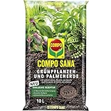 COMPO SANA Grünpflanzenerde und Palmenerde mit 12 Wochen Dünger für alle Zimmerpflanzen,...