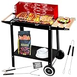 Five-Star Grill&Chill Holzkohlegrill - Gartengrill, Chromrost 50 cm × 26,5 cm, zwei...