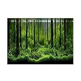 Aquarium Poster Aquarium Rückwandfolie Aquarium Hintergrund Dekoration PVC Klebstoff Unterwasser...