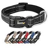 lionto Hundehalsband aus strapazierfähigem Nylon, Größe XL, weiches gepolstertes Halsband für...
