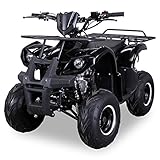 Original Actionbikes Motors Kinder Quad S-8 Farmer | 4-Takt 125 cc 7 kW Benzinmotor - Not-Aus-Leine-...