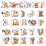 Realand 26Pcs Große 6.5cm Alphabet Brief Cookie Cutters Formen aus Edelstahl Abc Cookie Cutters Set...